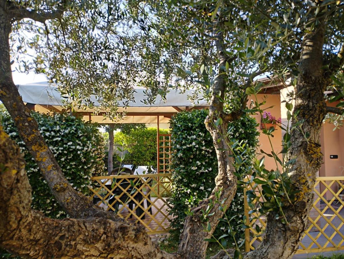 Vila Melody House - Dependance Castel del Bosco  Exteriér fotografie
