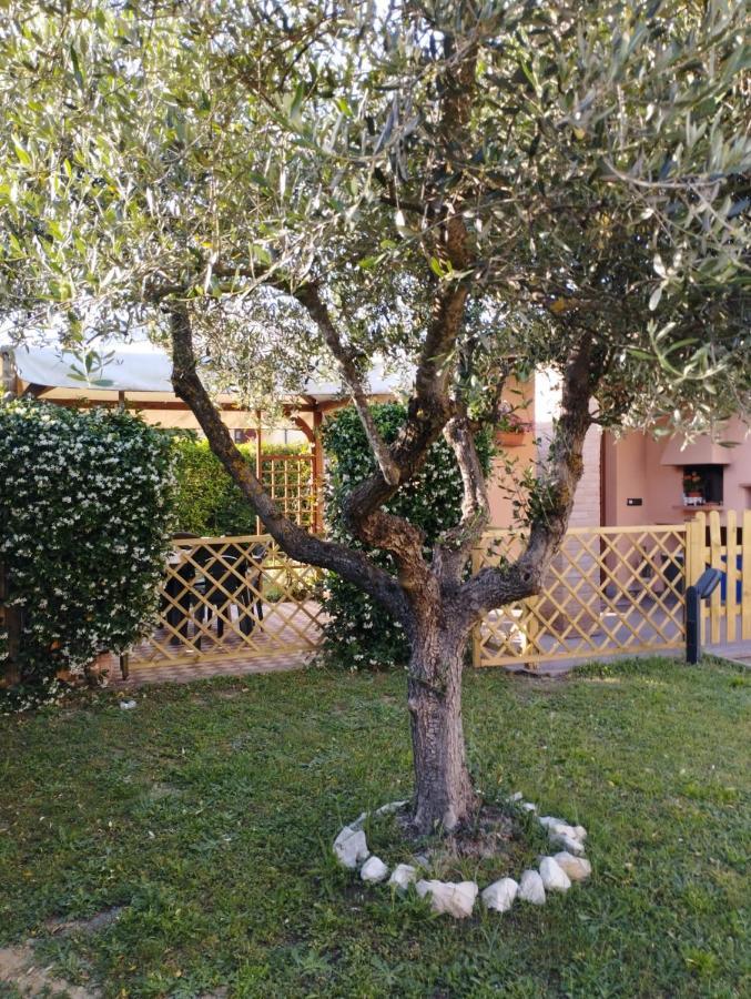 Vila Melody House - Dependance Castel del Bosco  Exteriér fotografie